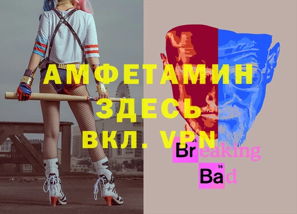 стаф Россошь