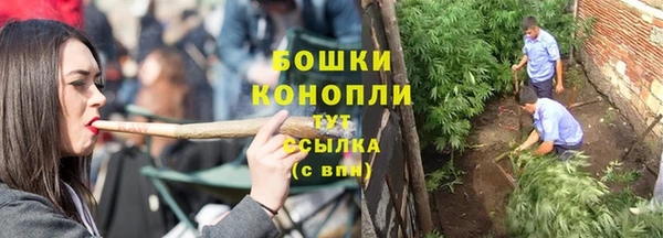 стафф Ростов