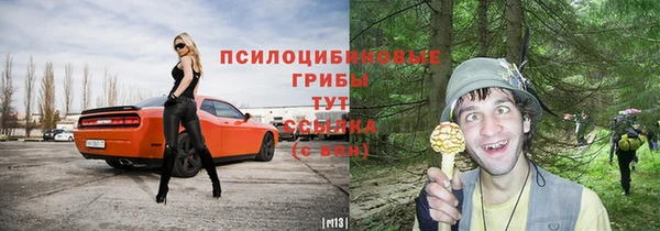 круглые Рославль