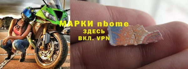 стаф Россошь
