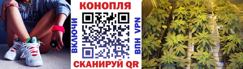 Шишки марихуана тримм  купить  сайты  MEGA ONION  Александровск-Сахалинский 